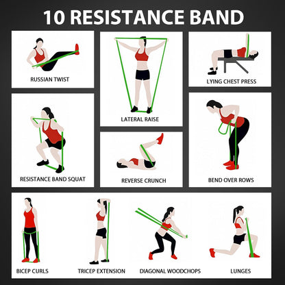 Pull Up Assistance Bands,Muit Levels Resistance Bands for Senior/Adults,Exercise Bands with Door Anchor, Strength Bands for Fitness Training, Physical Therapy,Home Gym Workouts