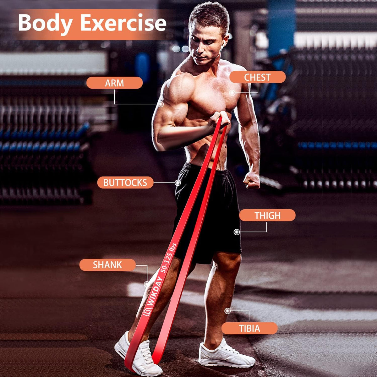 Resistance Bands for Working Out, Exercise Bands, Workout Bands, Pull Up Assistance Bands for Body Stretching Training Physical Therapy Muscle Training for Men & Women