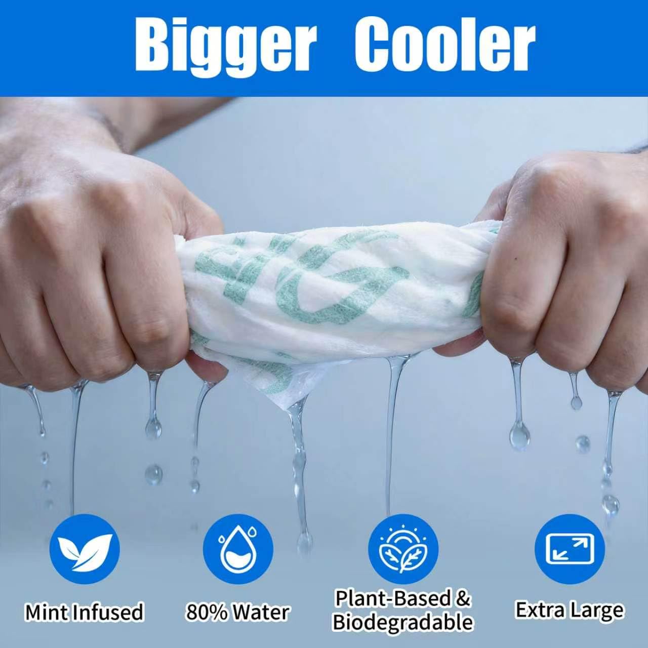 10 Pack Cooling Body Wipes, Alcohol-Free Cooling Towelettes Cooling Towel Alternative for Outdoor Sports, Camping, Hiking, Workout & Hot Weather(Green)