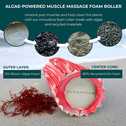 Ripple Travel Foam Roller (11" x 3.35") Firm Mini Foam Roller for Physical Therapy, Deep Tissue Massage, Back Pain - High Density, Ergonomic Wave Textured - Yoga, Pilates, Exercise (Seafoam) - Colors A