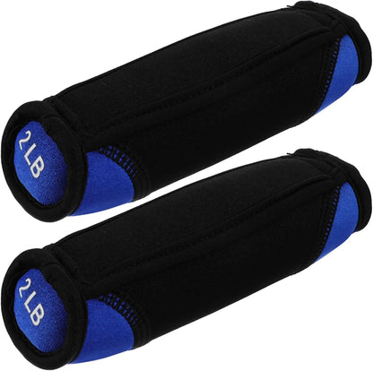 Soft Dumbbells Hand Trainer 2lb Pair Iron Filled Hand Weights Blue Weighted Bag Dumbbells for Home Fitness Strength Training and Walking Weight Exercise