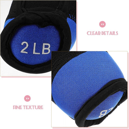 Soft Dumbbells Hand Trainer 2lb Pair Iron Filled Hand Weights Blue Weighted Bag Dumbbells for Home Fitness Strength Training and Walking Weight Exercise