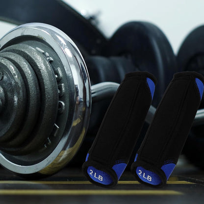 Soft Dumbbells Hand Trainer 2lb Pair Iron Filled Hand Weights Blue Weighted Bag Dumbbells for Home Fitness Strength Training and Walking Weight Exercise