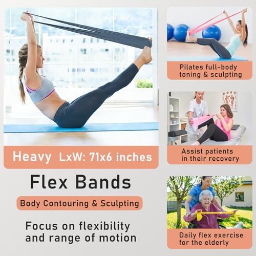 Pilates Ring Kit with Adjustable Ankle Wrist Weights, Resistance Bands, Ball, Pilates Equipment Ball for Home Workout to Tone, Sculpt and Strengthen, Fitness Magic Circle Rings for Yoga Women