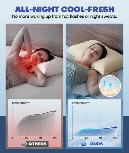 Ultra-Chill Cooling Pillowcase Set of 2 for Hot Sleepers, Softer Than Silk Pillow Cases for Protecting Hair & Skin, Breathable Bed Pillow Covers w/ Zipper, Gifts for Women & Men (Light Gray, Standard)
