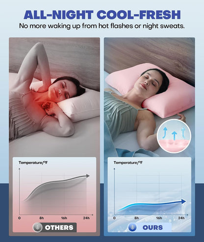 Ultra-Chill Cooling Pillowcase Set of 2 for Hot Sleepers, Softer Than Silk Pillow Cases for Protecting Hair & Skin, Breathable Bed Pillow Covers w/ Zipper, Gifts for Women & Men (Light Gray, Standard)