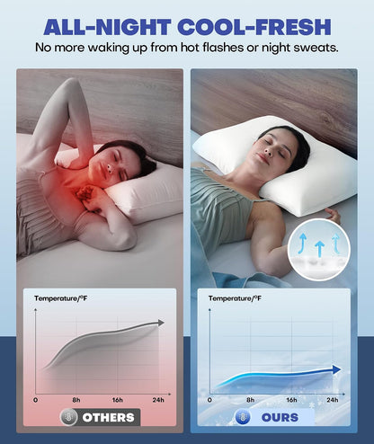 Ultra-Chill Cooling Pillowcase Set of 2 for Hot Sleepers, Softer Than Silk Pillow Cases for Protecting Hair & Skin, Breathable Bed Pillow Covers w/ Zipper, Gifts for Women & Men (Light Gray, Standard)