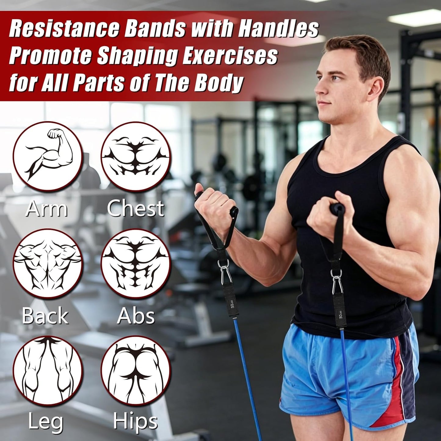 Resistance Bands with Handles, 5-Level Exercise Bands with Handles, Resistance Bands for Men and Women, Exercise Bands for Full-Body Training, Fitness, Physical Therapy, Workout Bands at Home, Gym