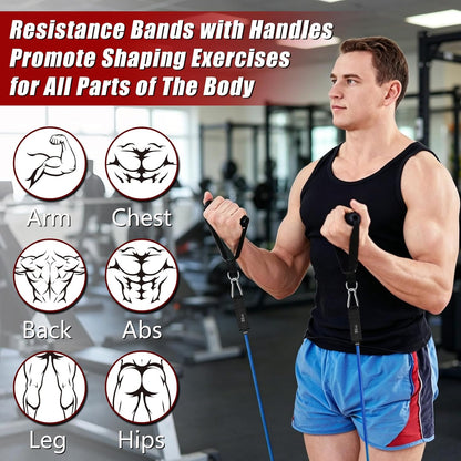 Resistance Bands with Handles, 5-Level Exercise Bands with Handles, Resistance Bands for Men and Women, Exercise Bands for Full-Body Training, Fitness, Physical Therapy, Workout Bands at Home, Gym