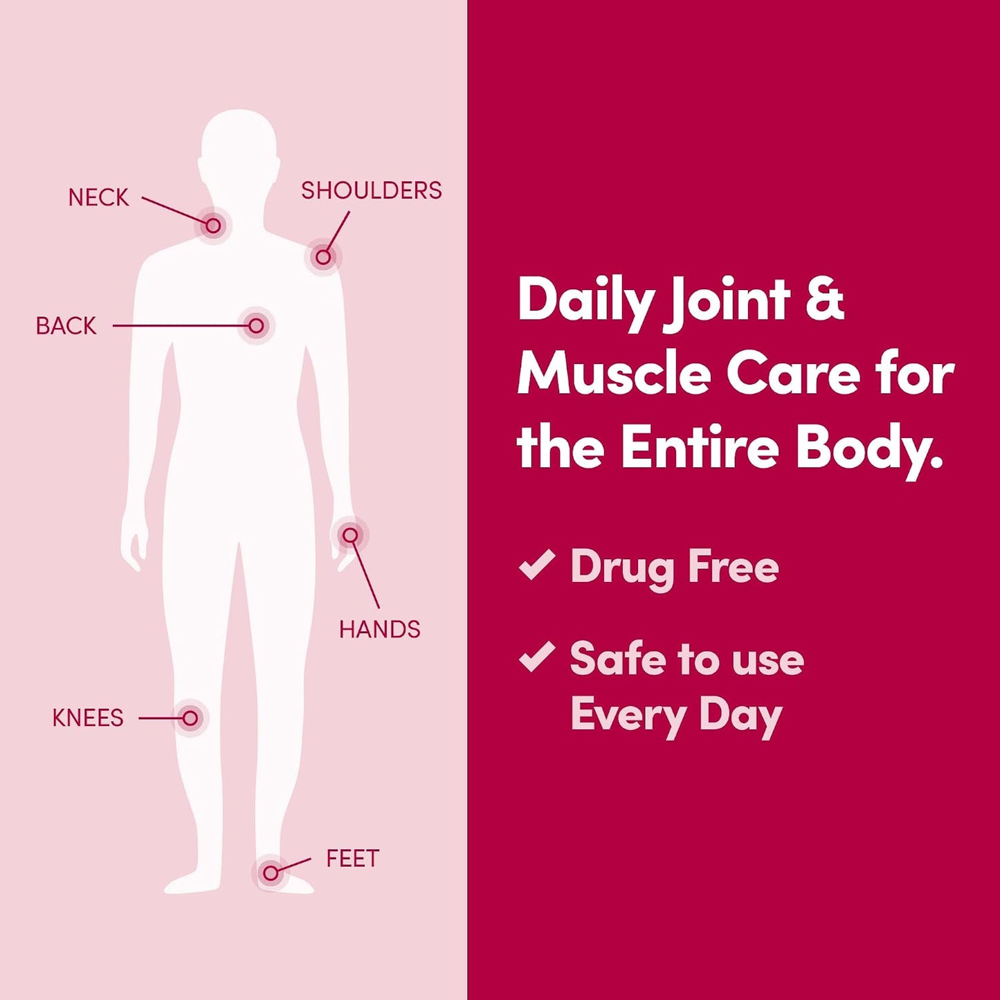 Daily Joint & Muscle Care Cream – Soothing Botanical Formula with Arnica, Vitamin B6 & MSM – Lightweight Fast-Absorbing Cream for Everyday Movement - Non-Greasy - Light Scent- 2 oz