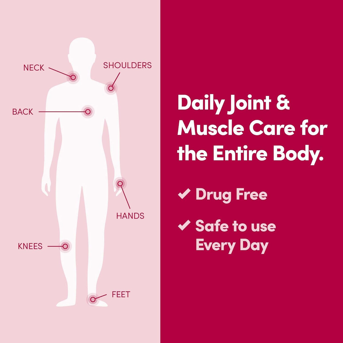 Daily Joint & Muscle Care Cream – Soothing Botanical Formula with Arnica, Vitamin B6 & MSM – Lightweight Fast-Absorbing Cream for Everyday Movement - Non-Greasy - Light Scent- 2 oz