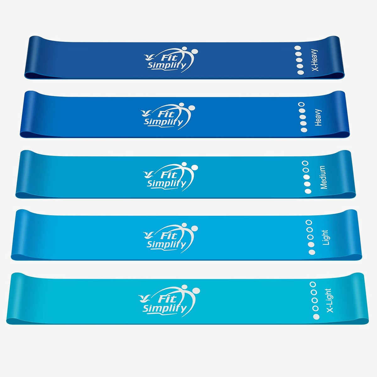 Resistance Loop Exercise Bands with Instruction Guide and Carry Bag, Set of 5