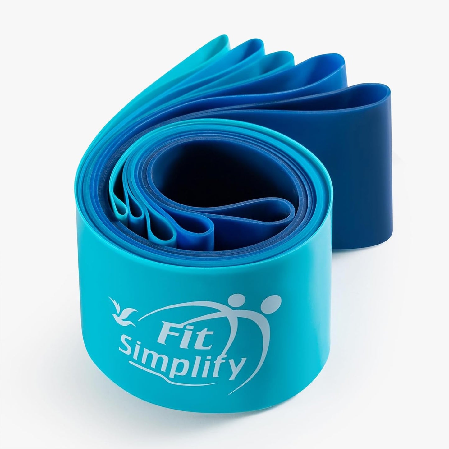 Resistance Loop Exercise Bands with Instruction Guide and Carry Bag, Set of 5
