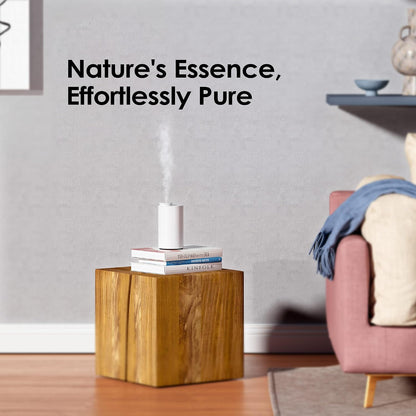 AN6 Waterless Diffuser for Essential Oil for Home, Room, Black