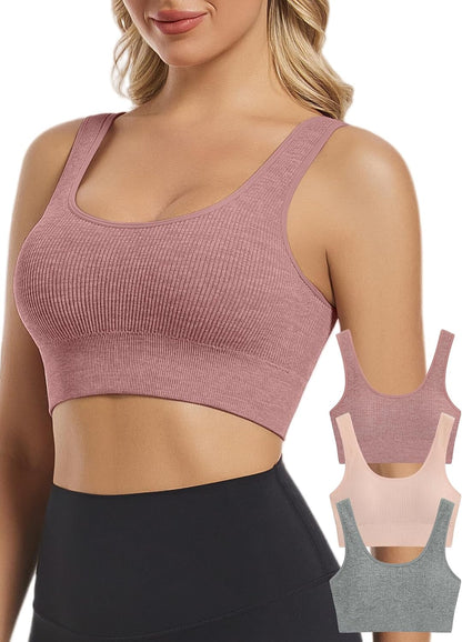 Seamless Sports Bras for Women Pack of 3 Ribbed Sports Bra Workout Tops Cropped Tank Top Comfort Padded Yoga