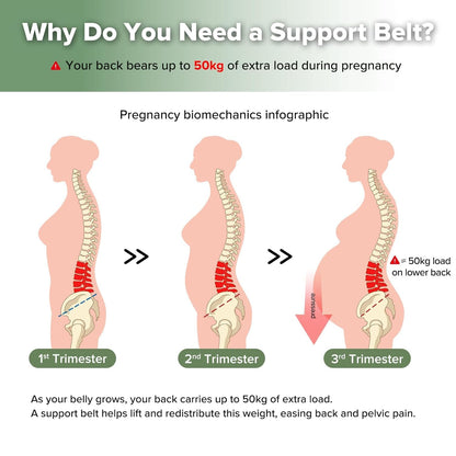 Pregnancy Belly Band, One-Piece Maternity Belt for Pregnant Women, Breathable Belly Support Band for Back & Pelvic Pain Relief, Easy to Wear for Everyday Comfort, L