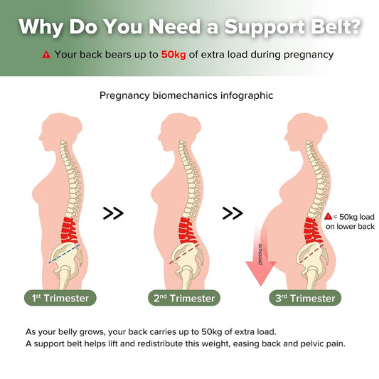 Pregnancy Belly Band, One-Piece Maternity Belt for Pregnant Women, Breathable Belly Support Band for Back & Pelvic Pain Relief, Easy to Wear for Everyday Comfort, L