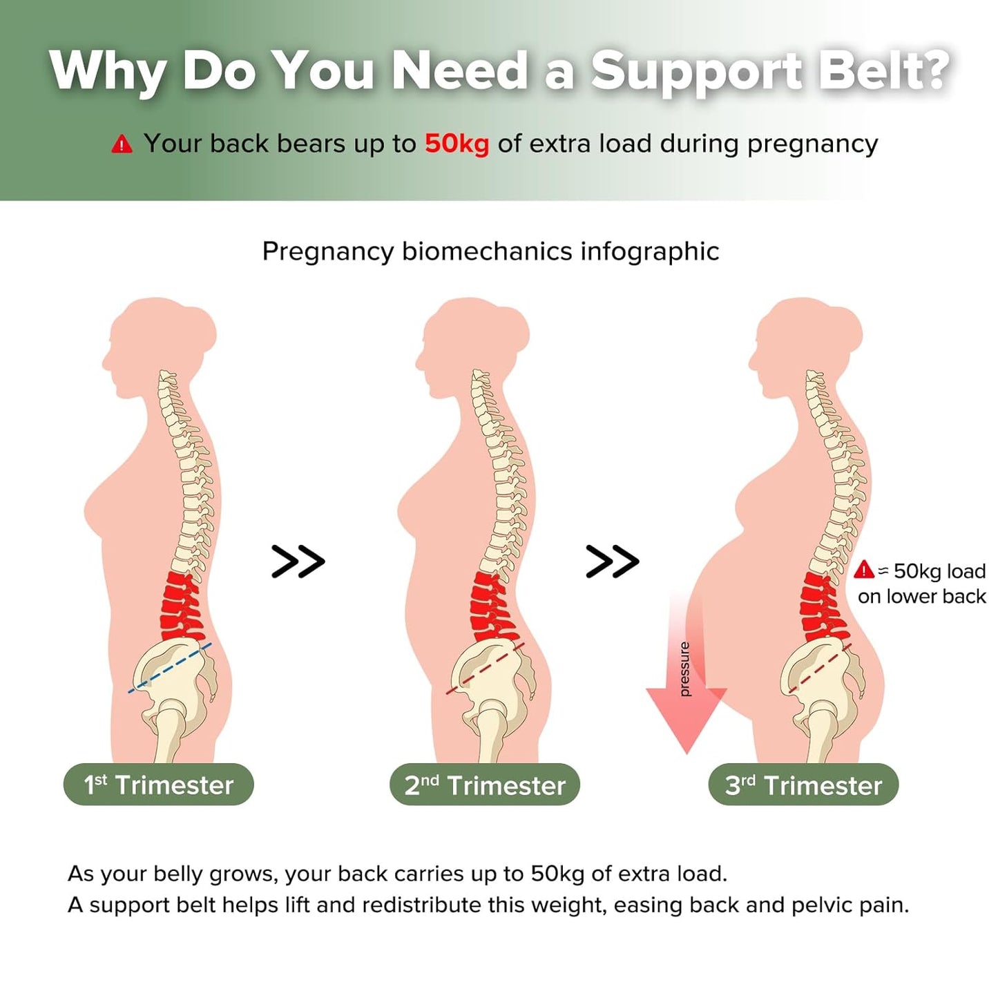 Pregnancy Belly Band, One-Piece Maternity Belt for Pregnant Women, Breathable Belly Support Band for Back & Pelvic Pain Relief, Easy to Wear for Everyday Comfort, L